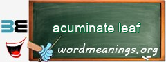 WordMeaning blackboard for acuminate leaf